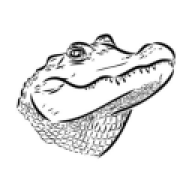 drewp337