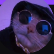 voin