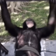 adrianmus99