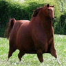 tomdonlen