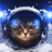 beazleyy